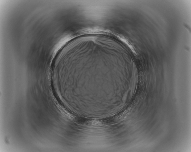 X0000097781463200803281651