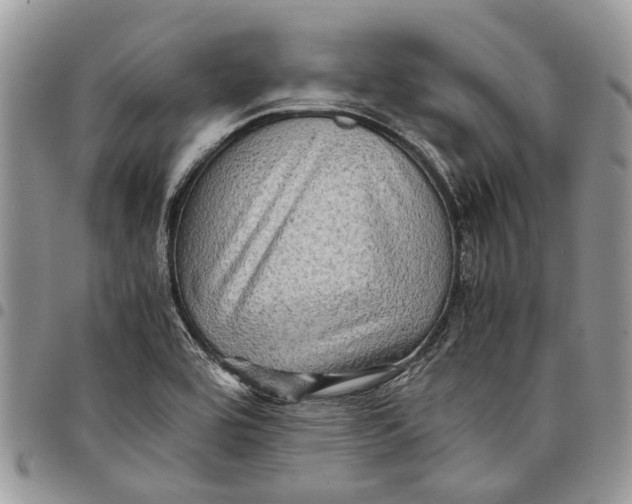 X0000097781464200803281651