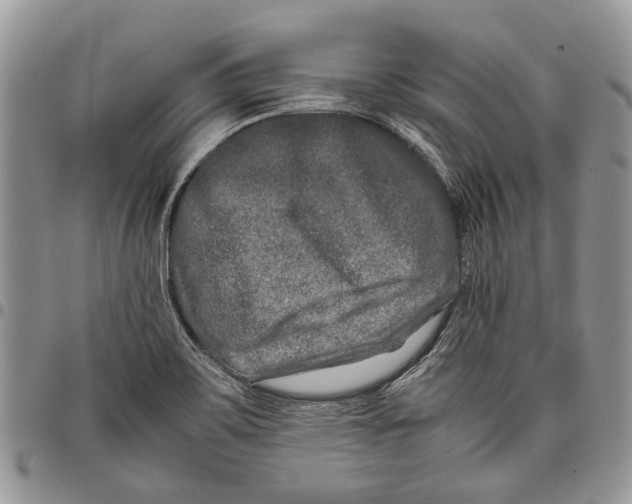 X0000097781467200803281651