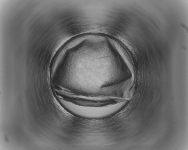 X0000097781468200803281651