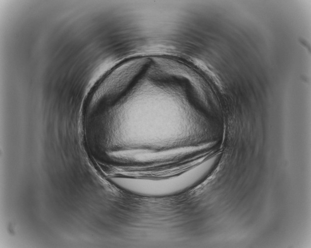 X0000097781469200803281651