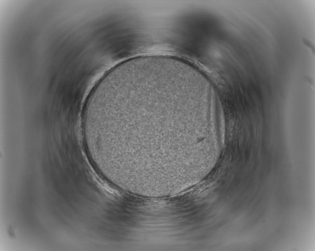 X0000097781470200803281651