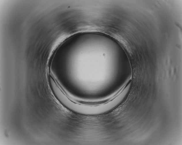 X0000097781472200803281651