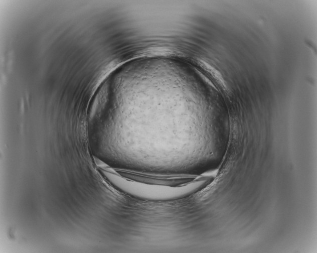 X0000097781473200803281651