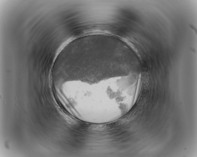 X0000097781474200803281651