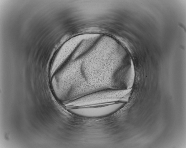 X0000097781475200803281651