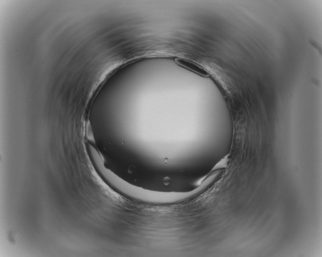 X0000097781476200803281651