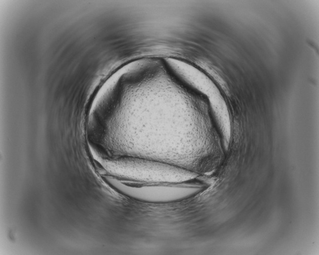 X0000097781477200803281651