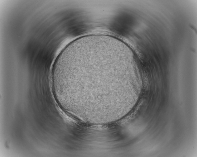 X0000097781478200803281651