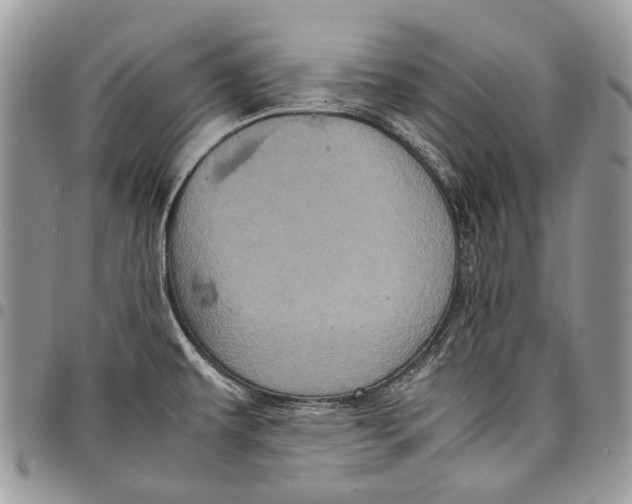 X0000097781479200803281651