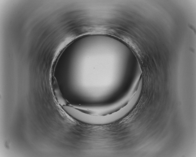 X0000097781480200803281651