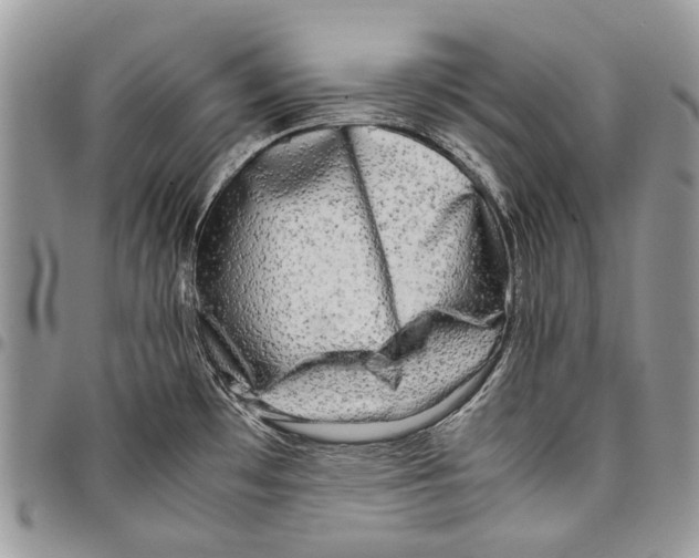 X0000097781481200803281651