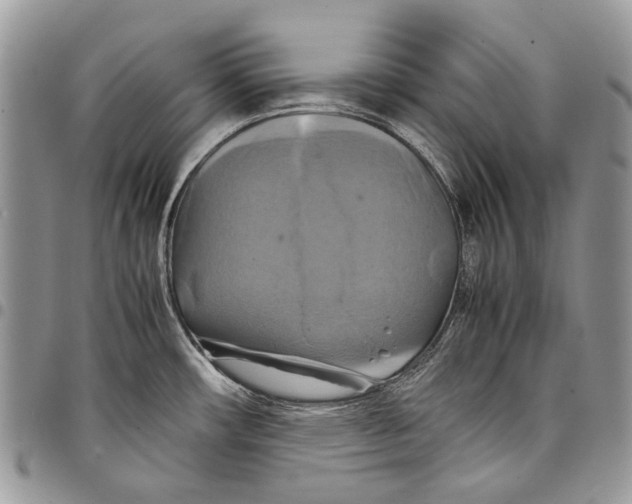 X0000097781482200803281651