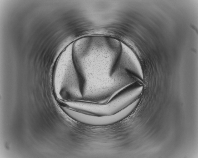 X0000097781483200803281651