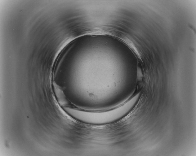 X0000097781484200803281650