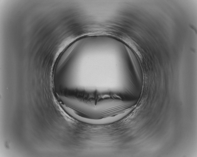 X0000097781485200803281650