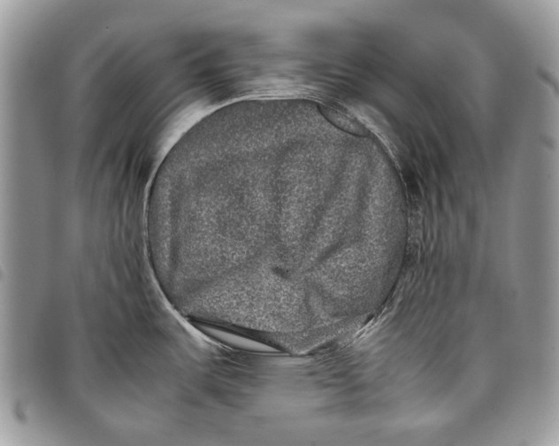 X0000097781487200803281650