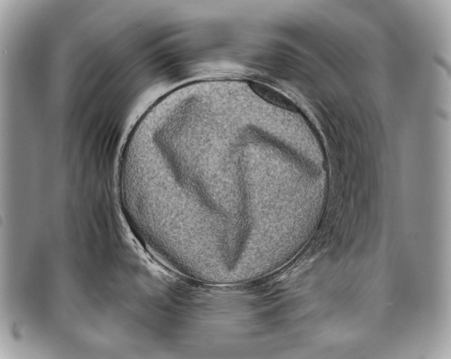 X0000097781488200803281650