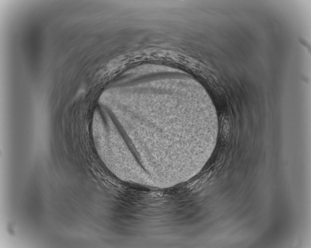 X0000097781489200803281650