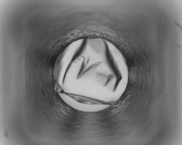 X0000097781490200803281650