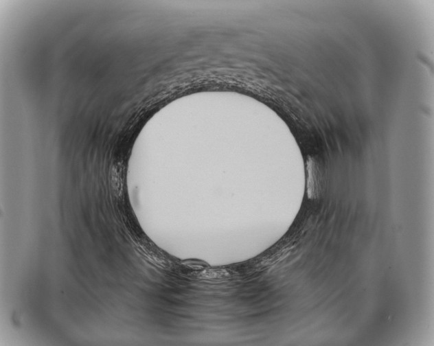 X0000097781491200803281650