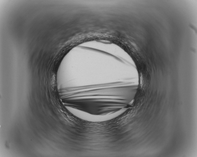 X0000097781492200803281650