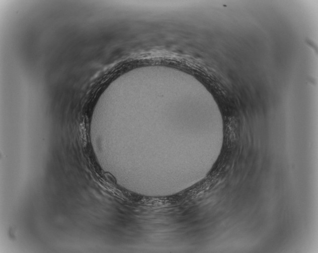 X0000097781493200803281650