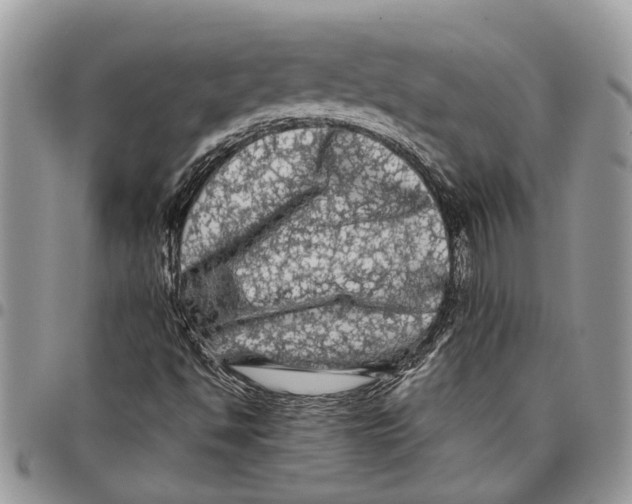 X0000097781494200803281650