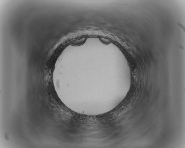 X0000097781495200803281650