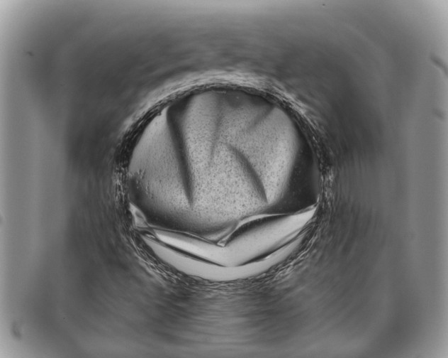 X0000097781496200803281650