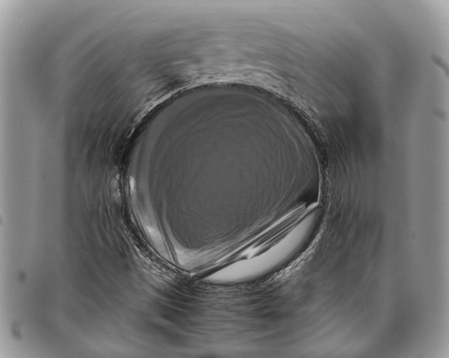 X0000097781497200803281650