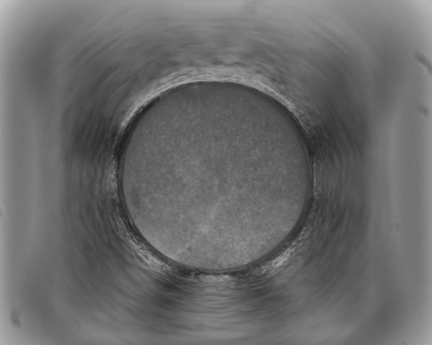 X0000097781498200803281650