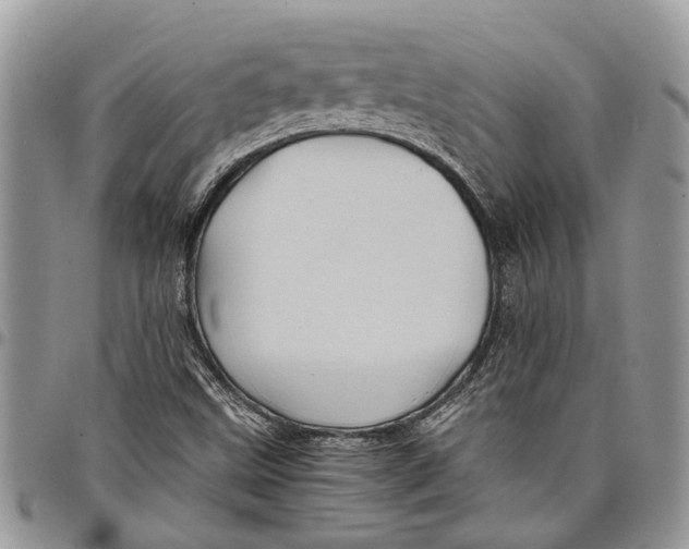 X0000097781499200803281650