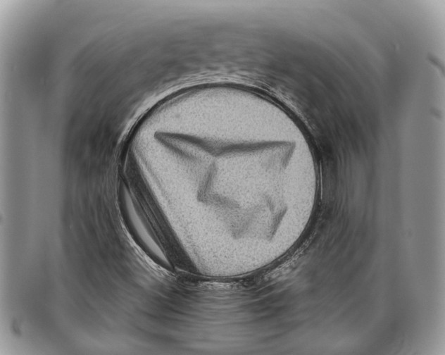 X0000097781500200803281650