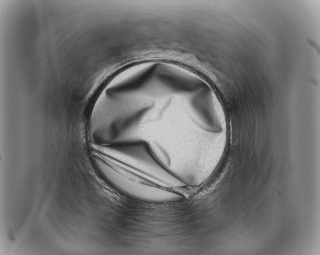 X0000097781501200803281650