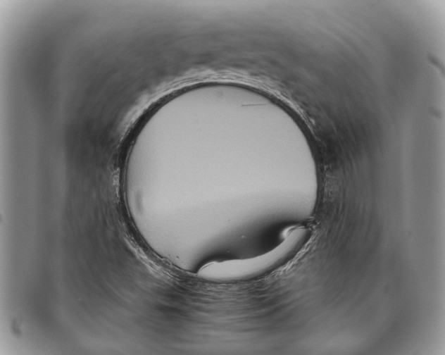 X0000097781503200803281650