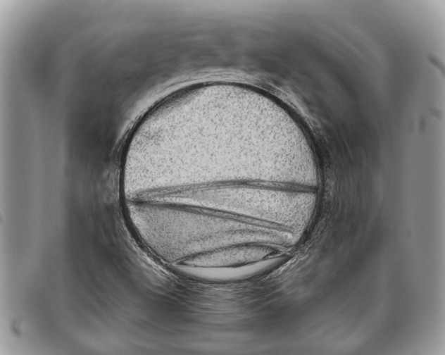 X0000097781504200803281650