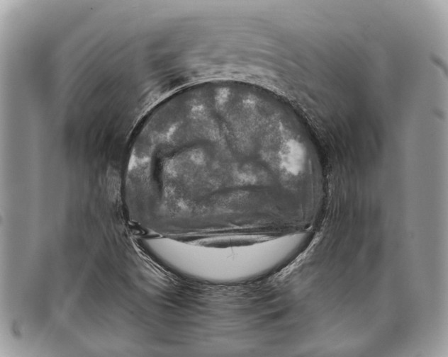 X0000097781505200803281650