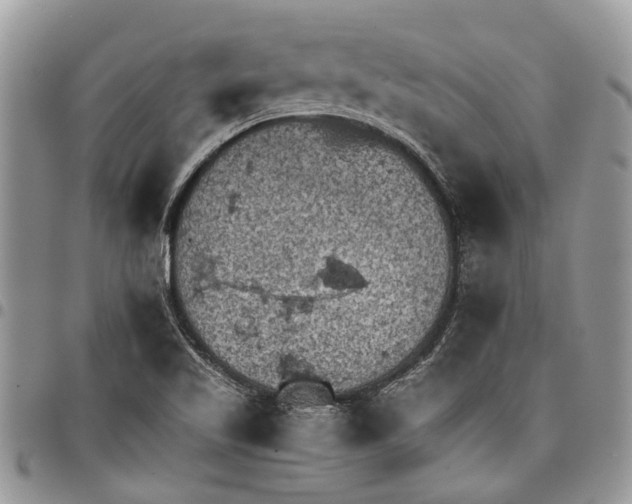 X0000097781509200803281650