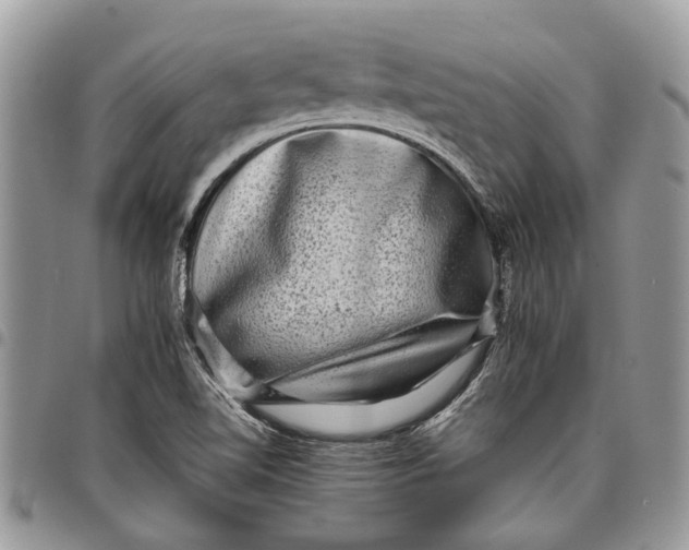 X0000097781510200803281650