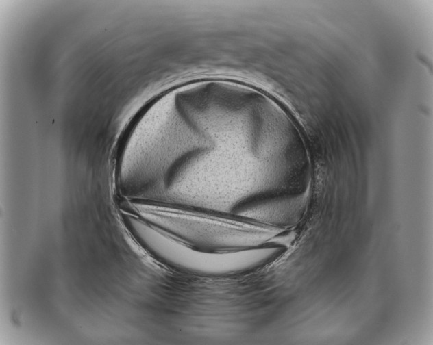 X0000097781511200803281650