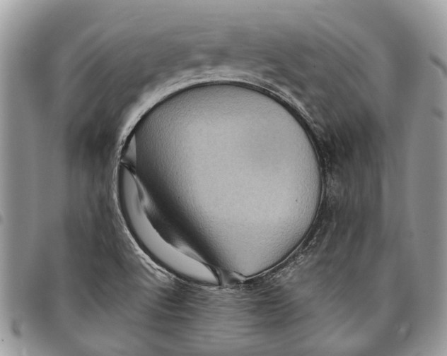 X0000097781512200803281650