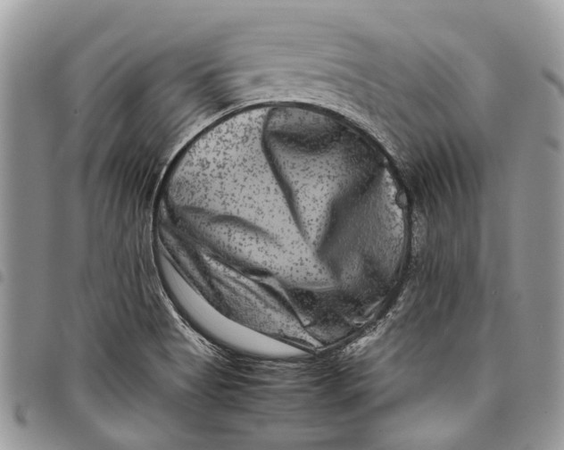 X0000097781513200803281650