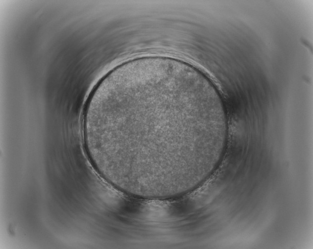 X0000097781514200803281650