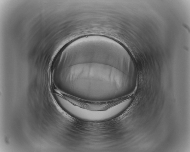 X0000097781515200803281650