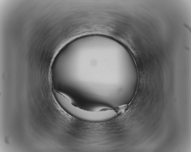 X0000097781516200803281650