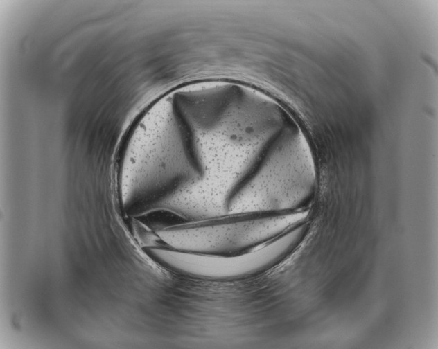 X0000097781517200803281650