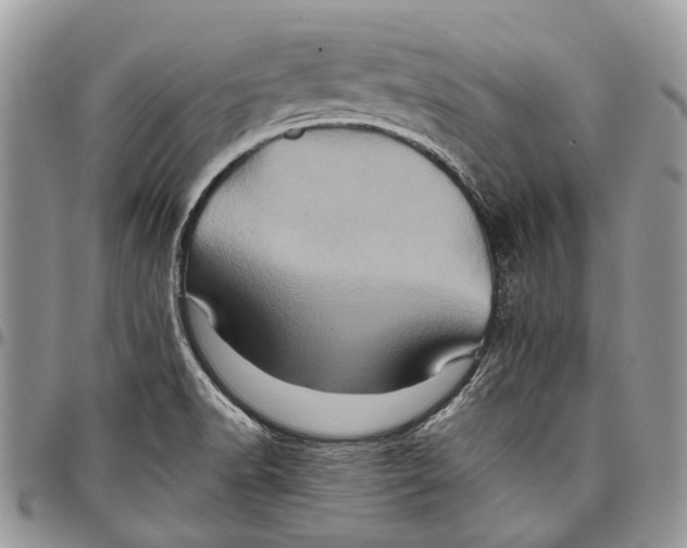 X0000097781518200803281650