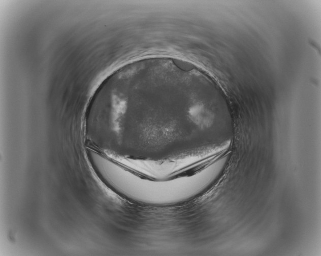 X0000097781519200803281650