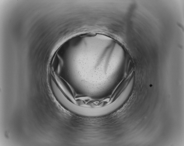 X0000097781520200803281650